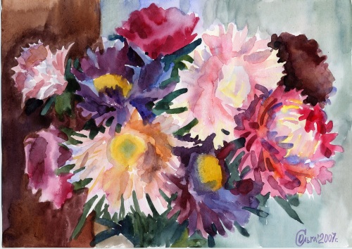 Пёстрые астры