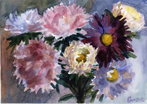 Астры на сером фоне