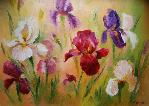 Ирисы