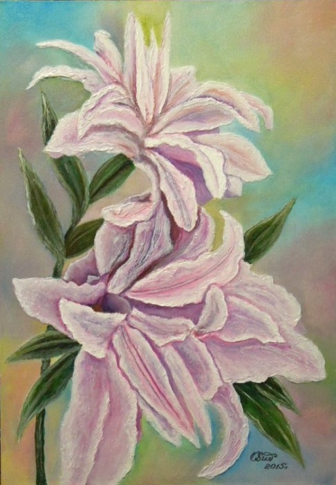 Розовые лилии