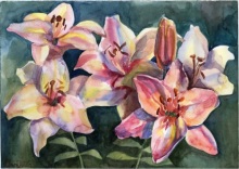 Лилии освещённые солнцем