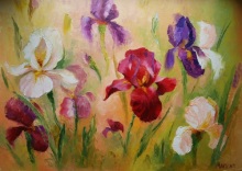 Ирисы
