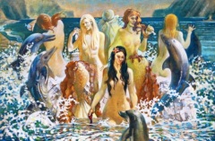 Кормление дельфинов 