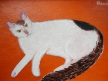 Куда спешишь?