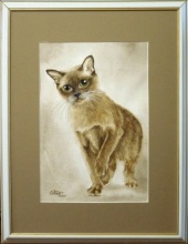 Бурманская кошечка