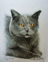 Русская голубая