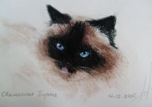 Священная Бирма