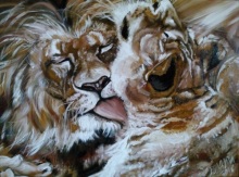 Львы. Преданность.
